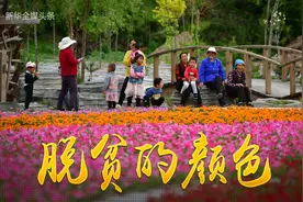 有一种日子，叫“打了个挺”图片
