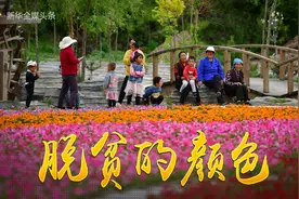 有一种日子，叫“打了个挺”图片