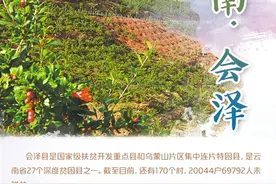 云南会泽：自家“好东西”闯出大市场图片