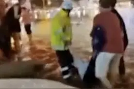 男子暴雨中骑车时突然触电 竟是因电瓶进水图片