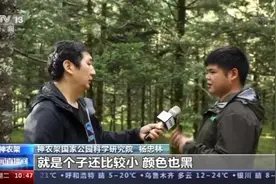 受伤动物如何救助？白化动物为何频被发现？跟随记者探访神农架国家公园图片
