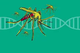 人类终于找到了对蚊子“种族灭绝”的杀手锏图片