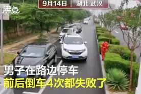 男子4次倒车失败被环卫大姐一盘到位，不少网友称赞，有人提出质疑图片