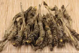 古时皇帝吃的珍稀中药材，被用来做成了面膜｜寻访黑科技图片
