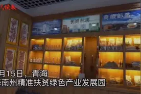 网红带货、江苏找销路，青海这个扶贫产业园一年销售3000万元图片
