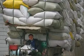 冰点特稿第1197期：粮食！粮食图片