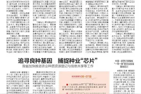 中国—新西兰猕猴桃“一带一路”联合实验室落地四川图片