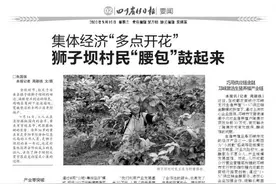 巧用供应链金融邛崃激活生猪养殖产业链图片