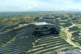 内蒙古包头石拐区：项目建设引领高质量发展图片