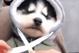 不会吧？现在的年轻人真有这么抠？最会省钱的高校又是哪所？图片