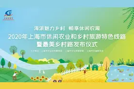 Get崇明的4条农旅特色线路、3条最美乡村路！赶紧去打卡吧图片