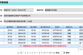 282万/套起，含装修！坪山一楼盘推377套住宅图片