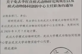 主任没有话语权，整个科室竟然护士长说了算图片