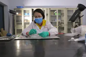 中国学者发现1.6万年前古人类利用野生稻证据图片
