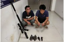 湘乡市森林公安破获2起非法狩猎案，五名男子用气枪打死七只斑鸠被刑拘图片