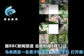 马来西亚一猴子偷手机后疯狂自拍，甚至录制了一段“吃播”视频图片