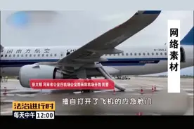 女大学生首次乘飞机 误开舱门被拘图片