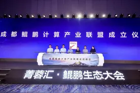 成都鲲鹏计算产业联盟成立 引领成都计算产业新时代图片