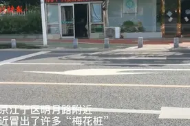 人行道成了“迷踪小径”，不到60米的路装上38个隔离桩图片