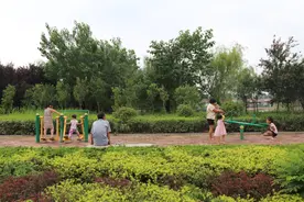 莒县刘官庄镇：让“颜值”与“产值”齐飞图片