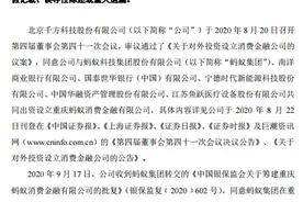 重庆蚂蚁消费金融公司获批筹建，千方科技等公司参与设立图片