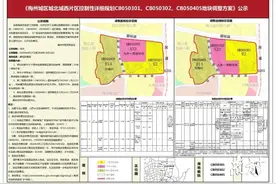 涉及学校、村庄建设……梅城这些地块规划有新调整图片
