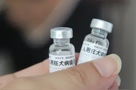守住权利边界，从源头减少动物对人的伤害图片