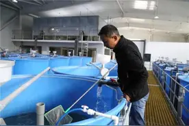 他们的小康生活是这样子的图片