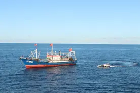 东海伏季休渔期结束，东海海区海警“亮剑2020”执法行动圆满收官图片