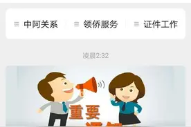 近百中国旅客因航班取消受影响，中国驻阿根廷使馆再发重要通知：改签注意核酸码有效期图片