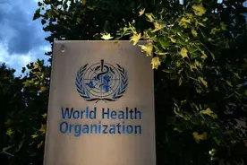 世卫组织：预计未来几十年癌症病例数将大幅增加图片