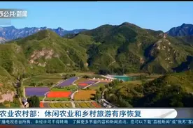 促进返乡农民工就地、就近就业，休闲农业和乡村旅游现有序恢复视频封面