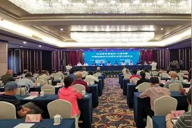 深读｜为什么现在河南农村结婚还会放《朝阳沟》？图片