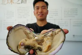 河北卢龙：“北珠”蚌养殖 带富一方人图片