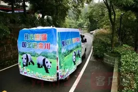 两只雅安籍大熊猫，刚到河南就寄回一封“家书”图片