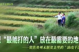 看“最能打的人”怎样打图片