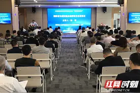 湖南举行先进制造业集群发展专家报告会图片