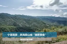 宁夏固原：西海固山城“绿肥黄瘦”视频封面