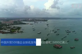 中国外贸500强企业排名发布 外贸总额逾15000亿美元视频封面