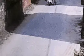 拿生命开玩笑？玉林三名初中女生骑电驴拉拽骑自行车女生，致其摔伤图片