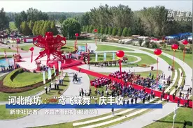 河北廊坊：“鸢飞蝶舞”庆丰收视频封面