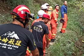 突发！西安一男子野生动物园后山遭野蜂袭击图片