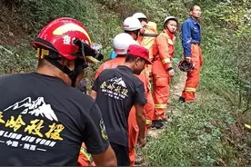 西安一男子野生动物园后山遭野蜂袭击图片