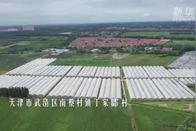 天津丁家瞿阝村：蔬果飘香产业兴视频封面