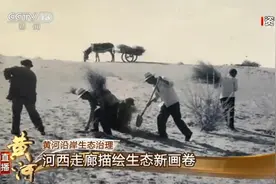 黄河沿岸生态治理：河西走廊描绘生态新画卷图片