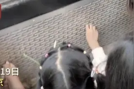 对不文明投喂动物行为，苦劝不如重罚图片