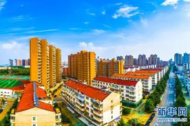 江夏大花岭村：村企一体 利惠民生图片