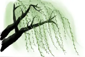 《南工大百景图》，静候君轻启图片