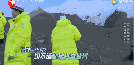 《极限挑战》道歉了，网友为什么还不罢休？图片