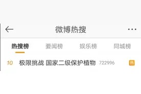《极限挑战》，别挑战大众底线图片